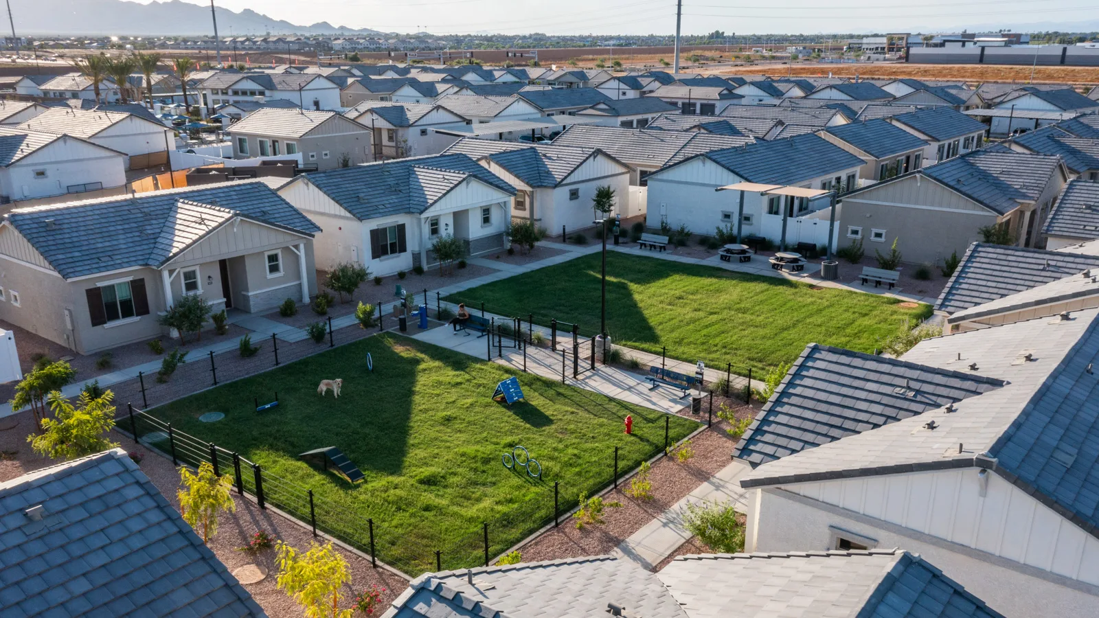 Paradisi exterior arial shot of dog park with labrador and owner enjoying paly time. The labrador looking at drone taking shot. New pet-friendly apartment homes for rent with private fenced backyards Arizona, Texas, Florida, and North Carolina with pool, pickleball, dog park, gym, clubhouse and gated community. *No breed or weight restrictions.